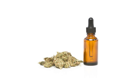 New York Moves to Import Marijuana-Based Epilepsy Treatment