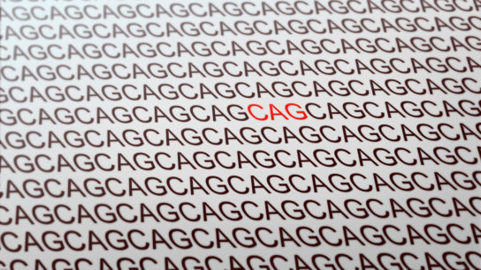 CAG trinucleotide repeat