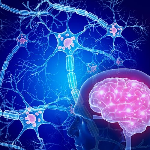 Real-World Adherence to DMTs in Multiple Sclerosis