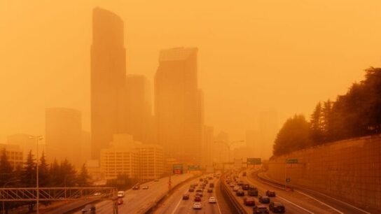 air pollution and dementia, is there a link?