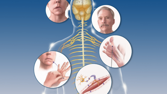 FOR CA PRINT USE ONLY